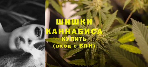 стаф Ладушкин