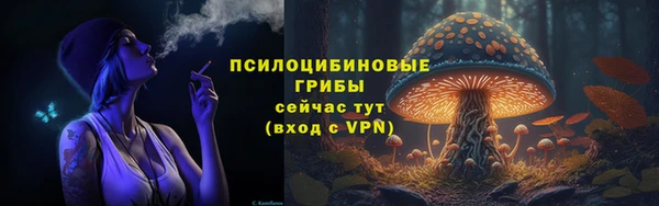 прущие грибы Лагань