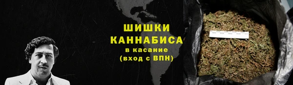 прущие грибы Лагань