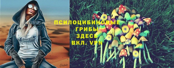 стаф Ладушкин