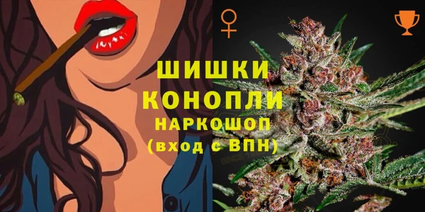 прущие грибы Лагань