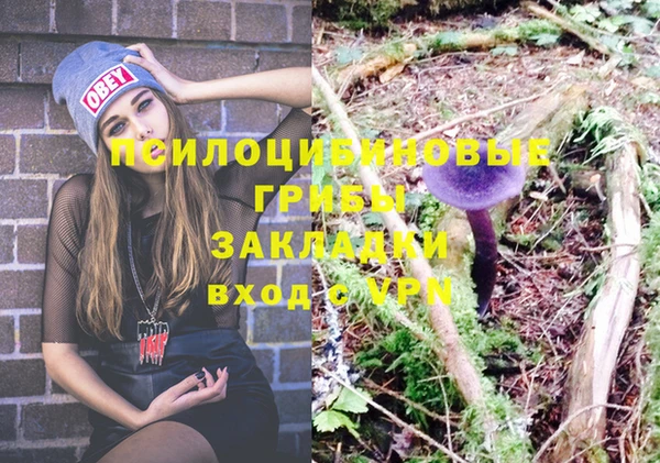 марихуана Лабытнанги