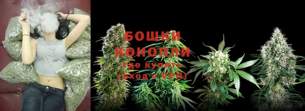 стаф Ладушкин
