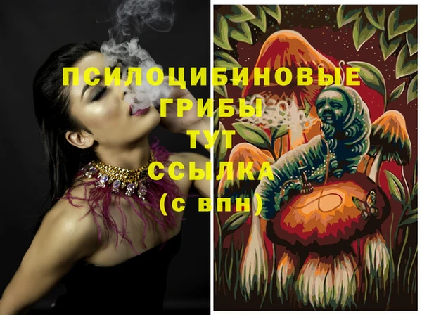 стаф Ладушкин