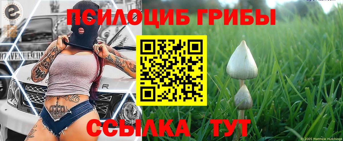 Галлюциногенные грибы Psilocybine cubensis  магазин продажи наркотиков  Рубцовск  Вход с VPN 