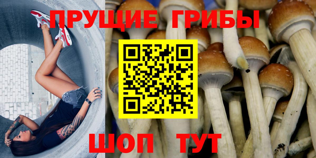 Псилоцибиновые грибы прущие грибы Рубцовск